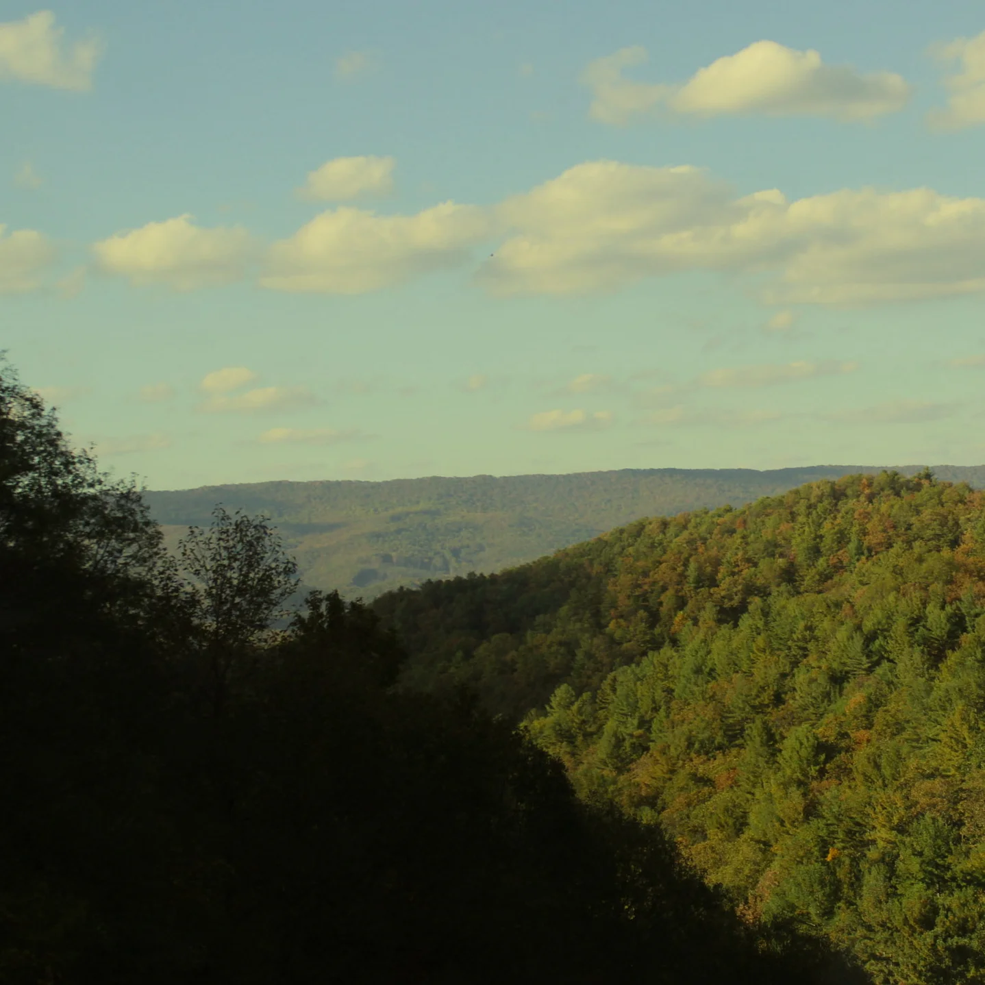 Yesterday, Today, and Forever [Devotion]