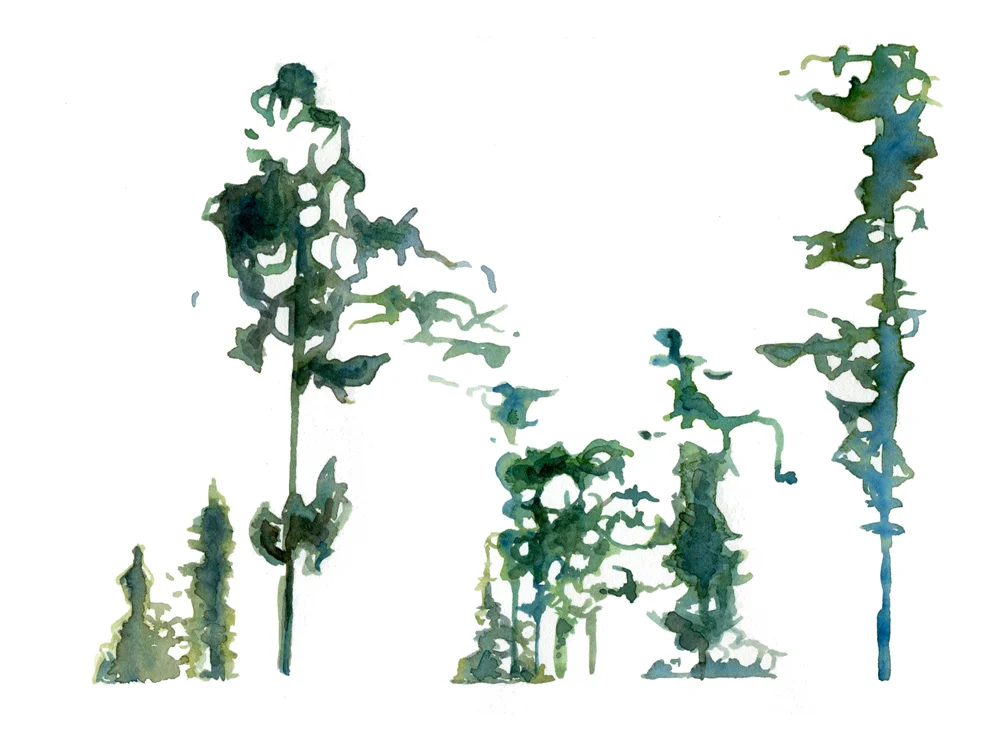 Rivendell (2014). Watercolor. 6 x 8 inches.