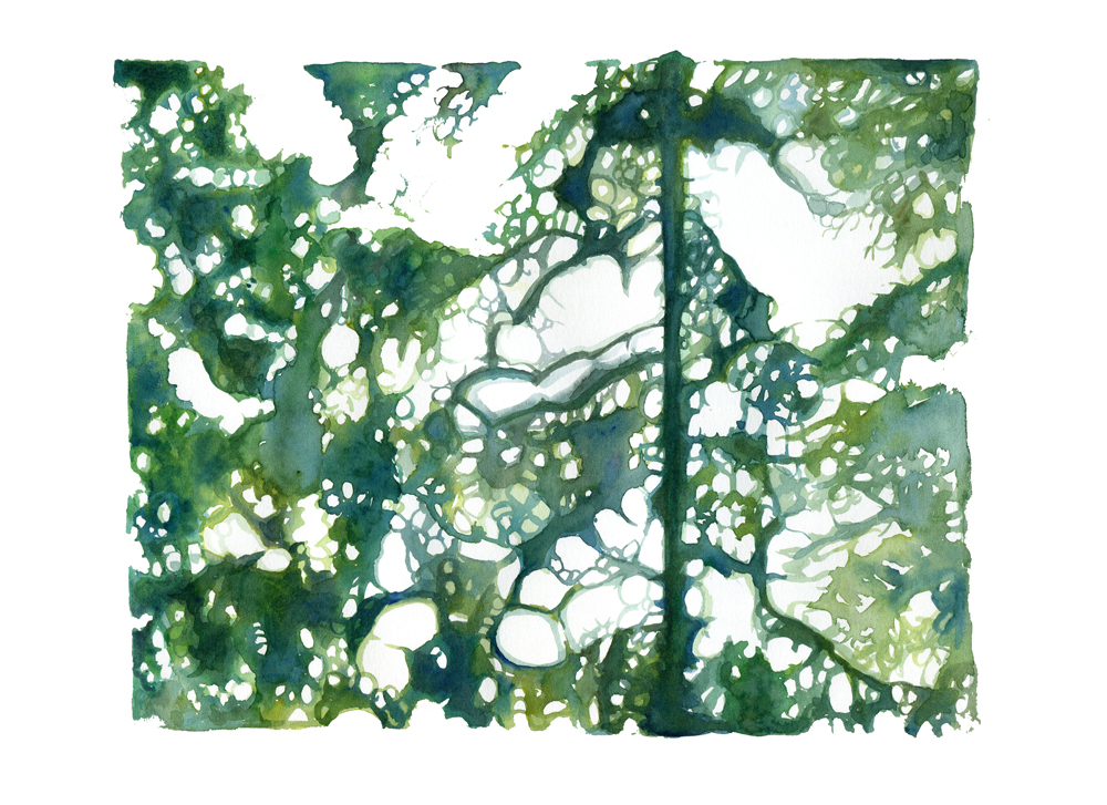 Callaghan (2016). Watercolor. 11 x 14 inches.