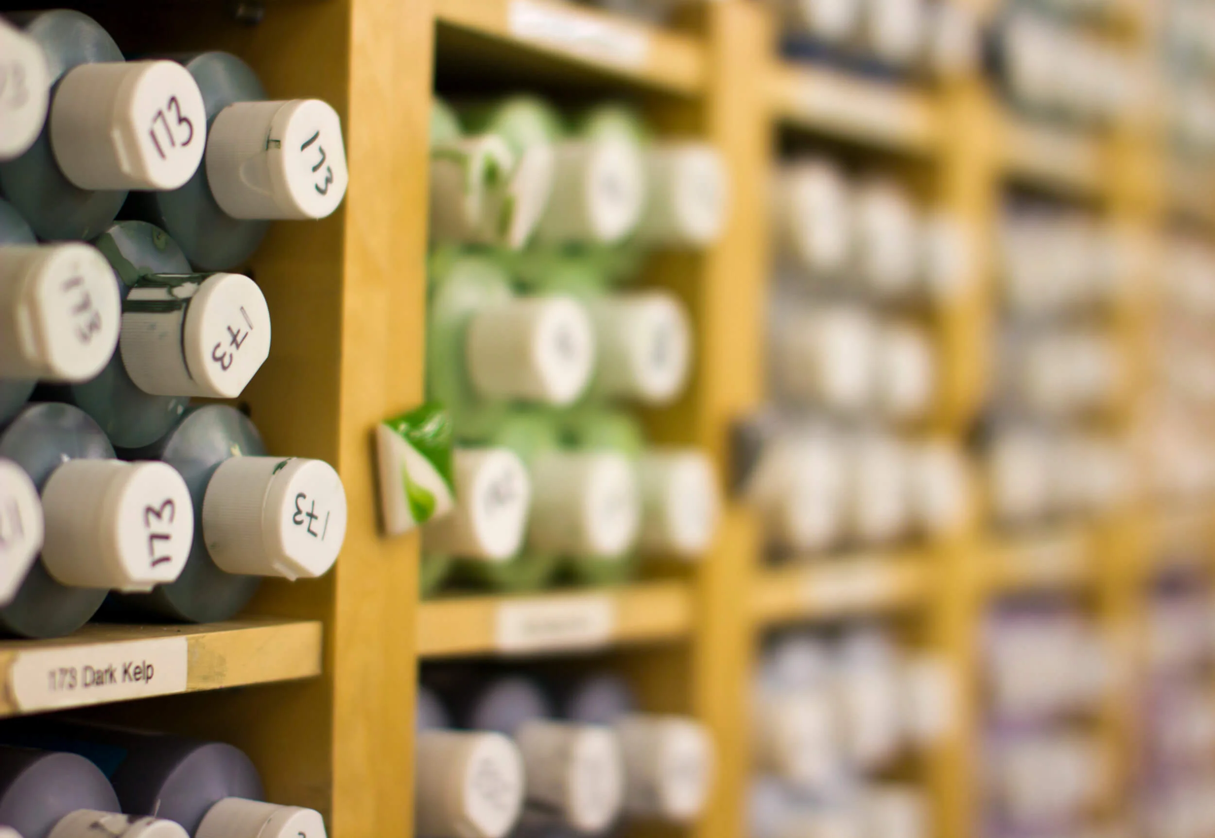 Canvas — Wet Paint Pottery