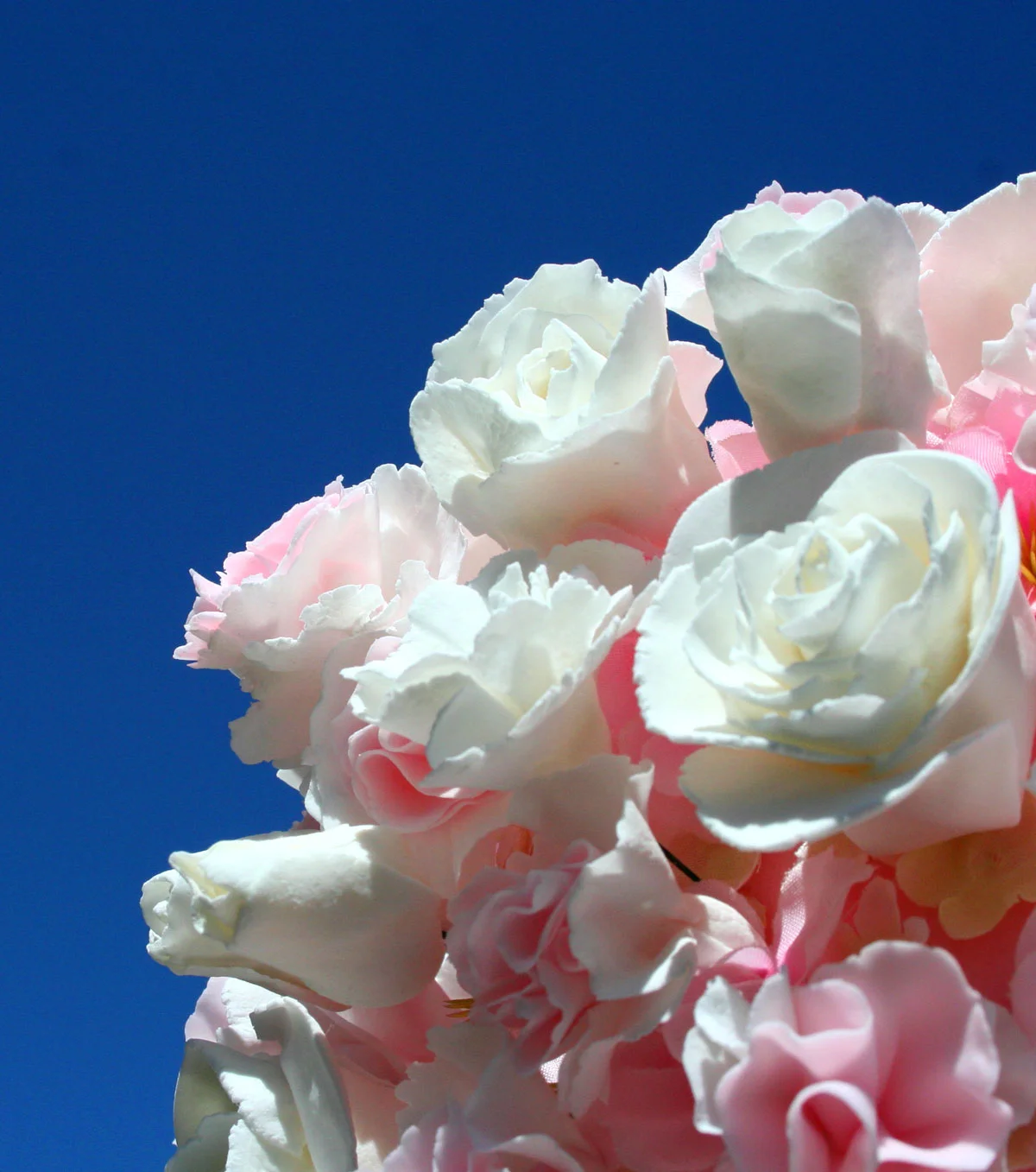 Cake Frosting Flowers