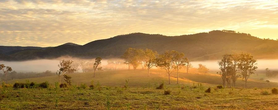 misty-sunrise-gloucester-nsw-christopher-vidal.jpg