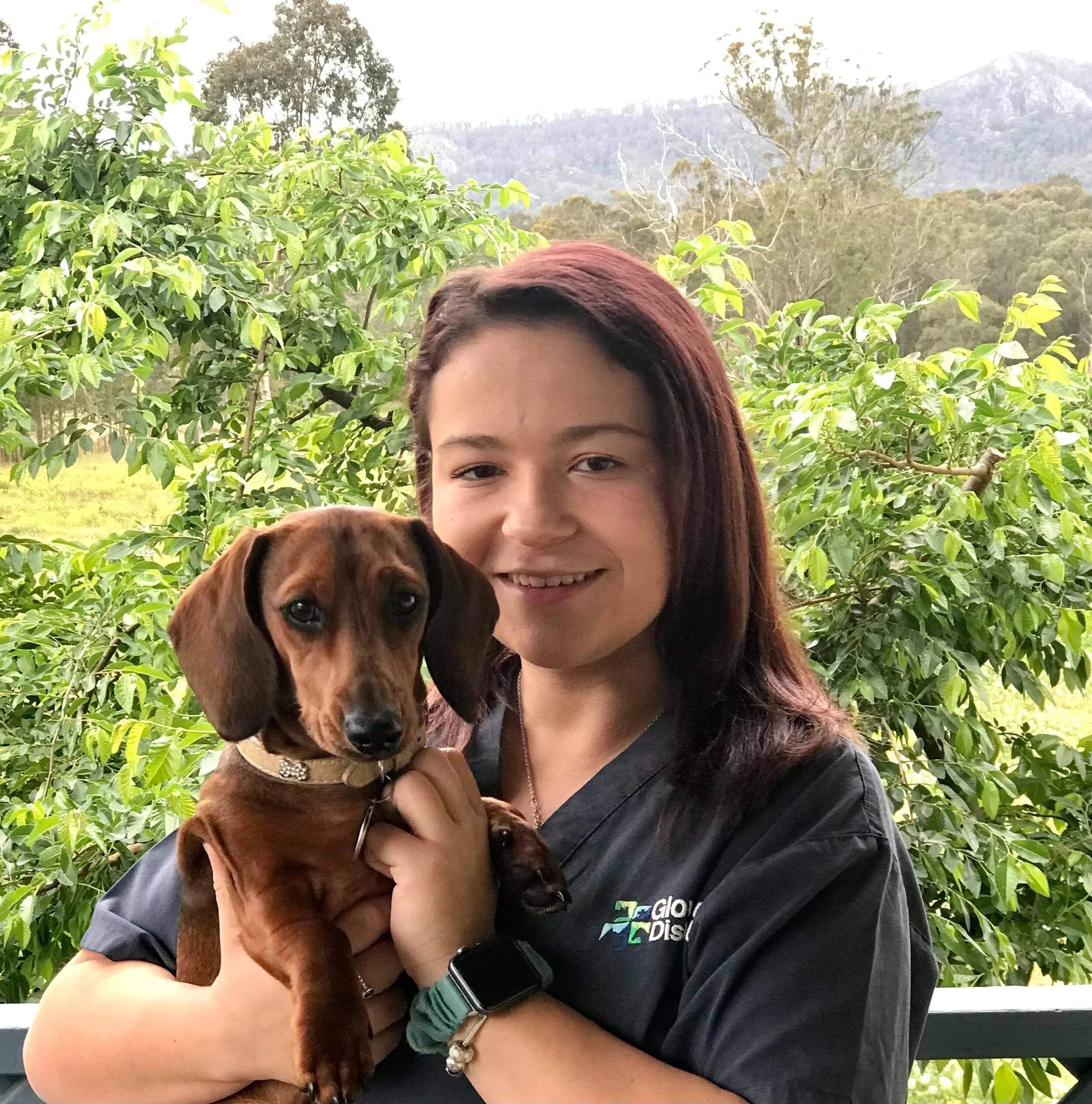 Staff — Gloucester District Vets