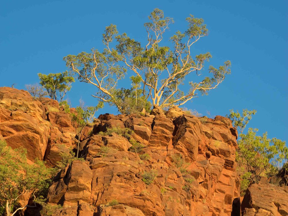 Sandstone cliffs ...