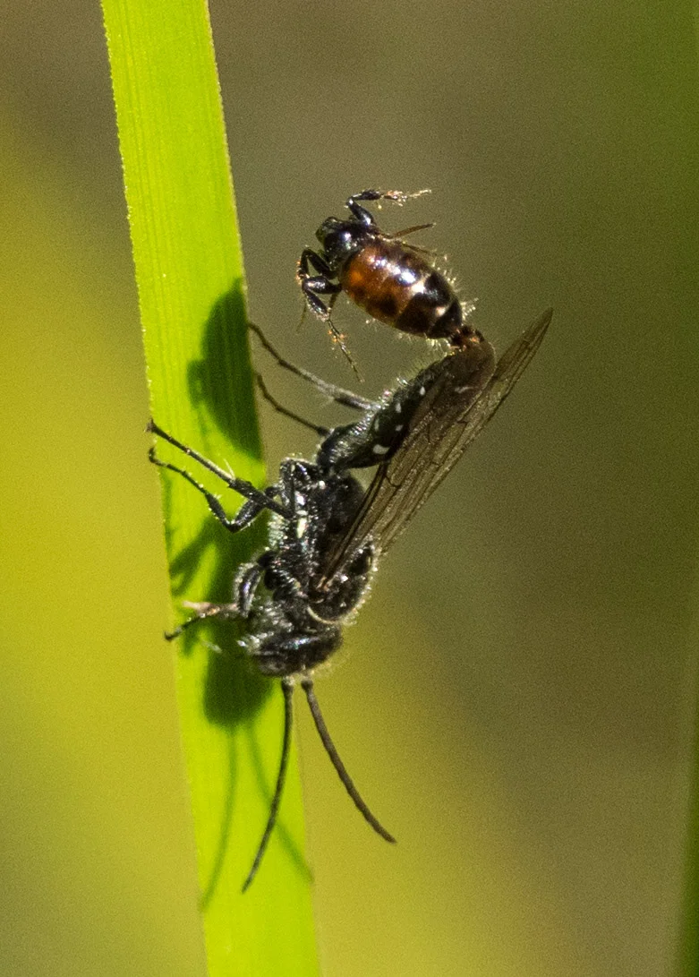 PB300056.jpg