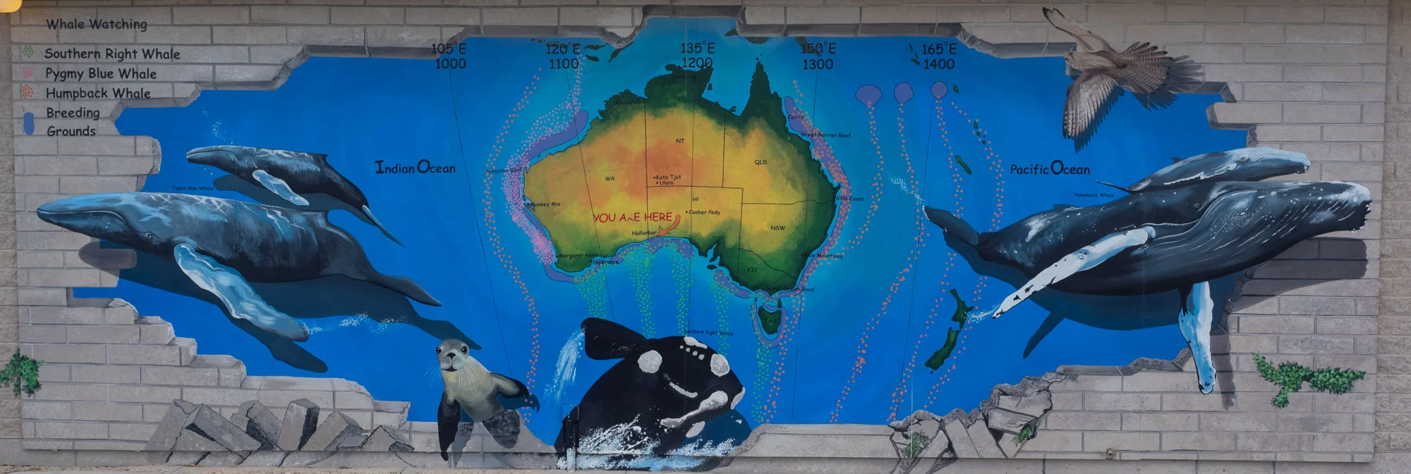 mural at Nullarbor Roadhouse, just 30km from Head of Bight