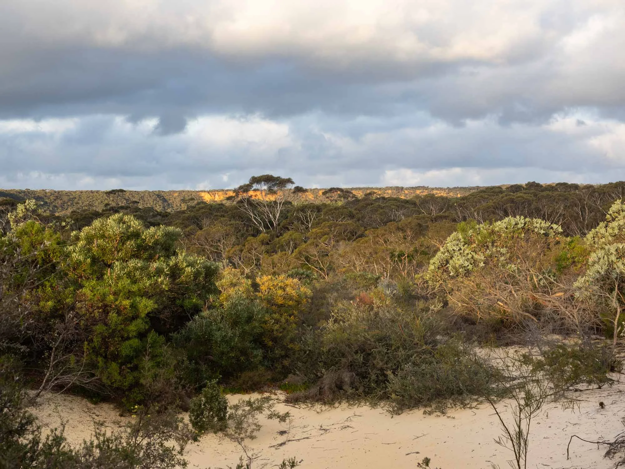 Western end of Fitzgerald River National Park