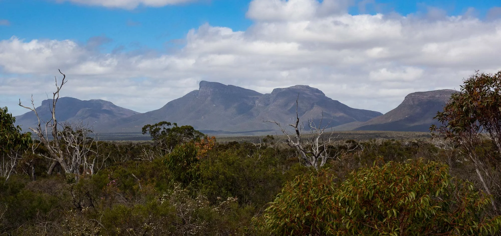 View of part of the Stirling Range. The highest peak, seen in this image, is Bluff Knoll, 1095m.