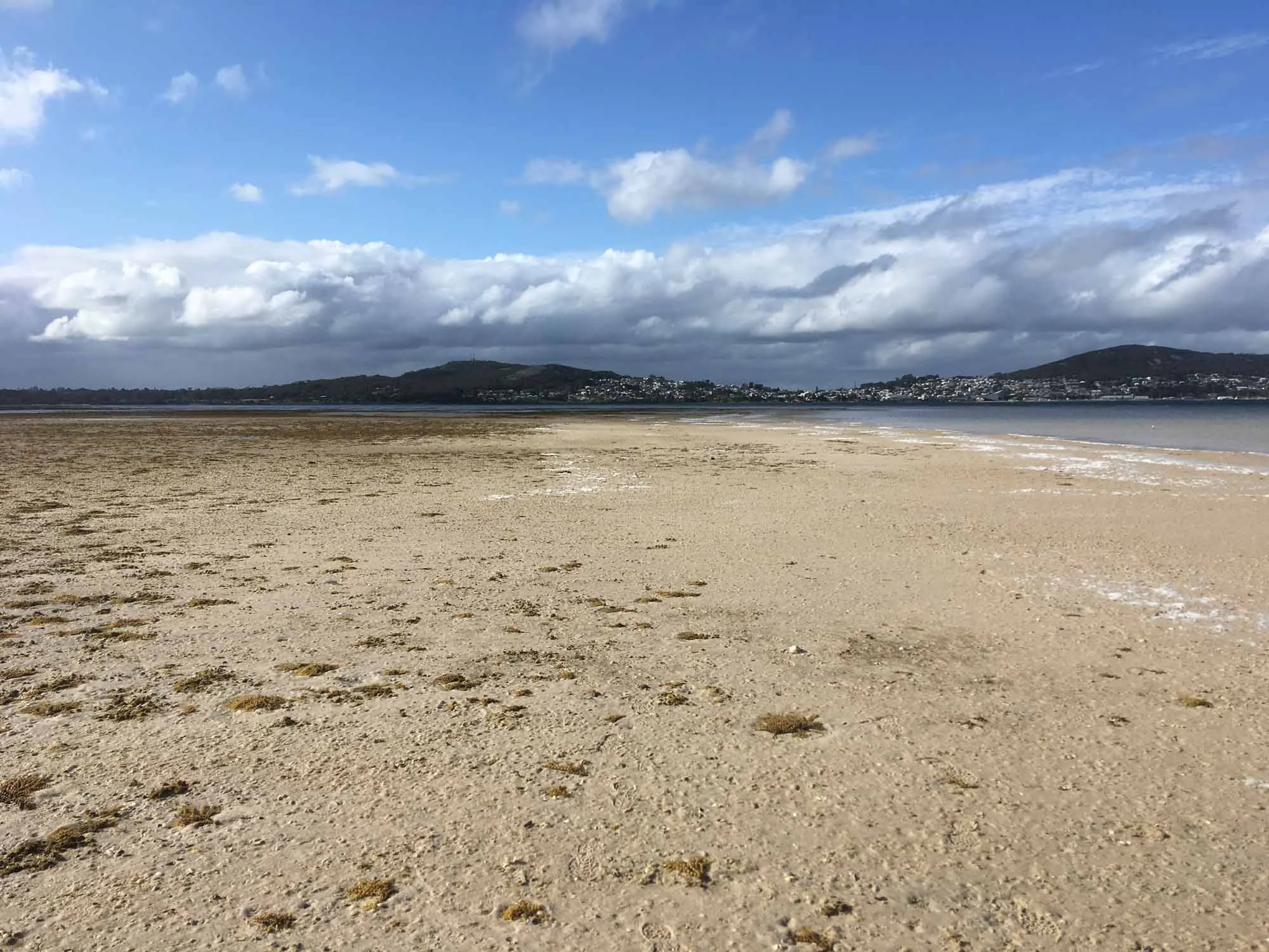 Shoal Bay at low tide. When Paul took this shot we were already half way out onto the sand spit! Albany in the distance.