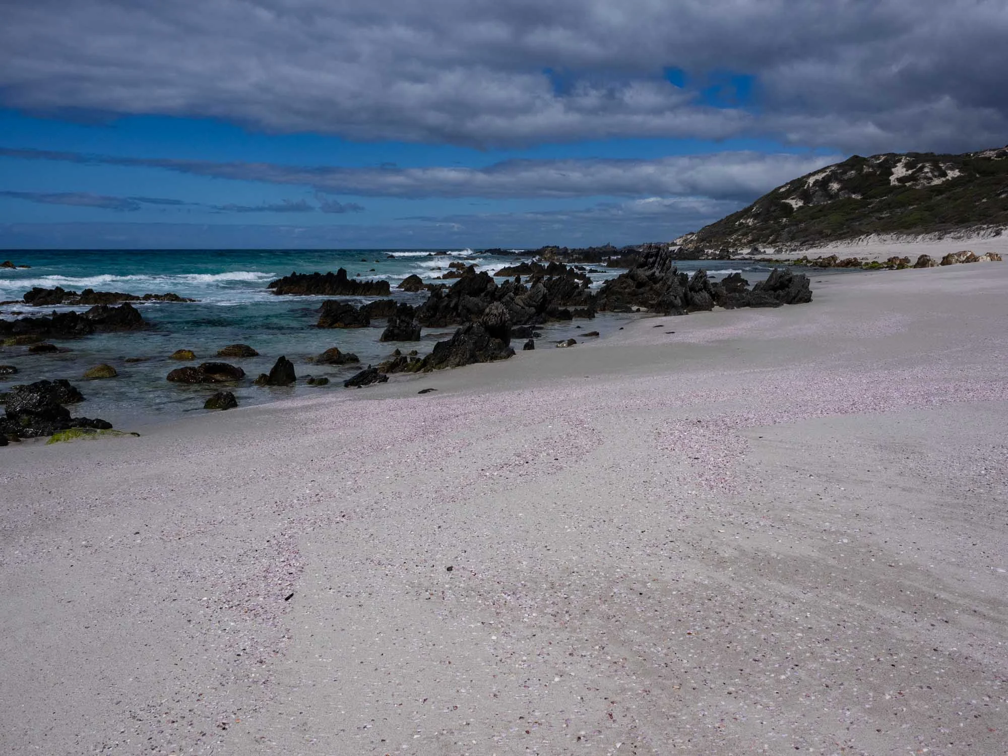 A pink beach!