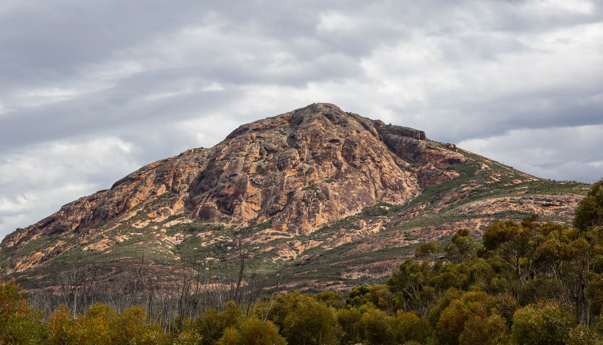 PA180054.jpg