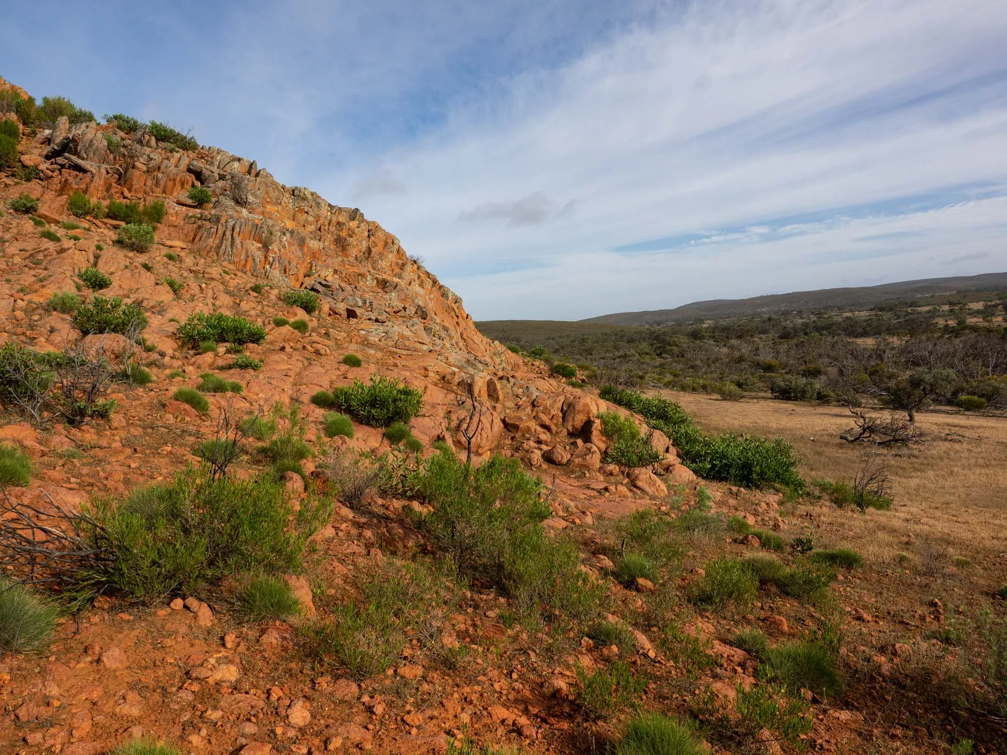 PA230140-2.jpg