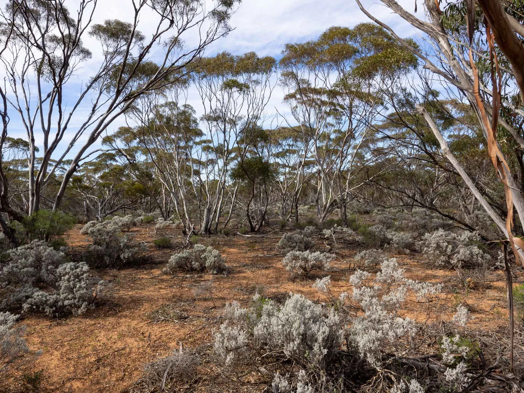 PA240279.jpg