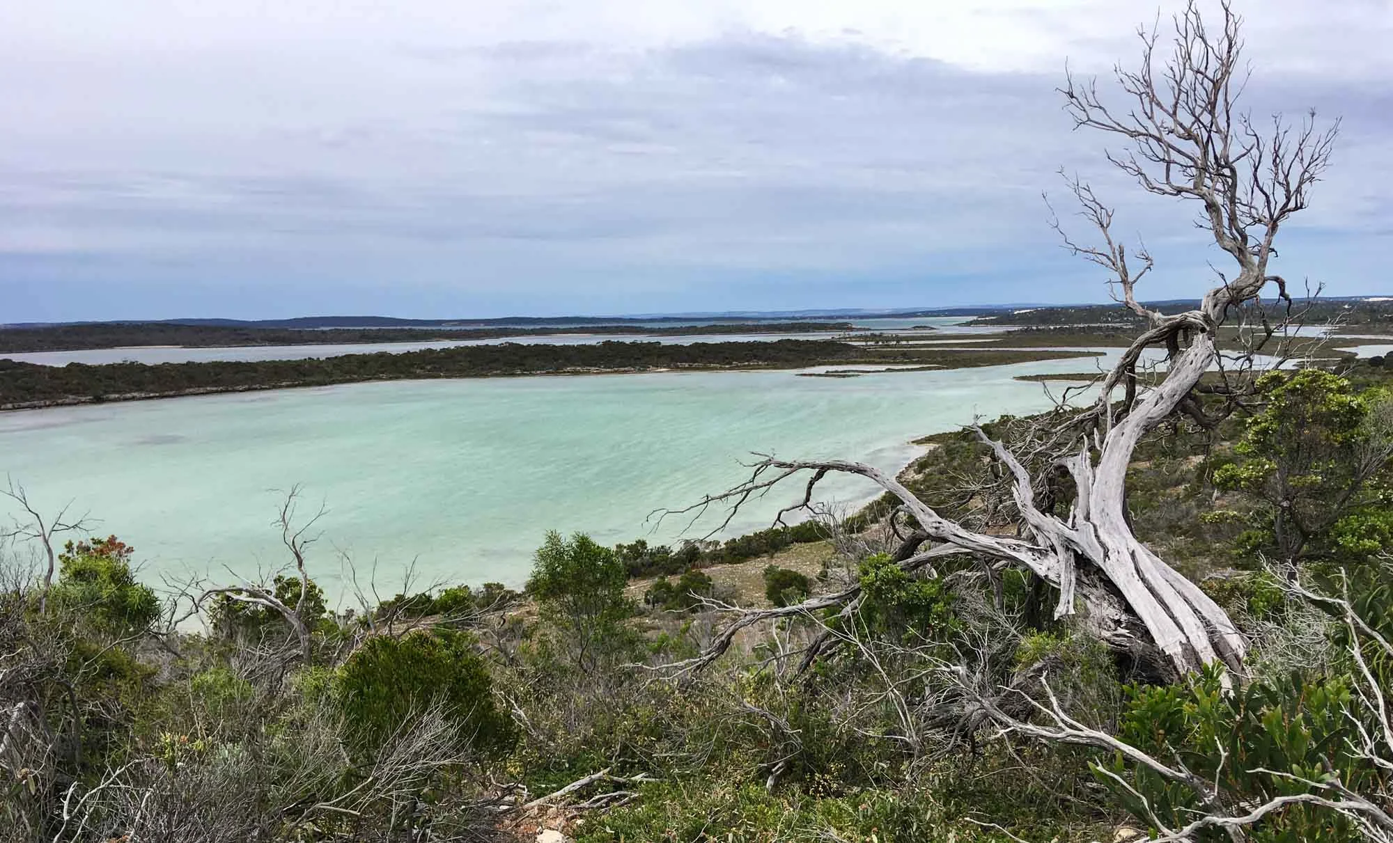 Part of the complex set of waterways in Coffin Bay National Park