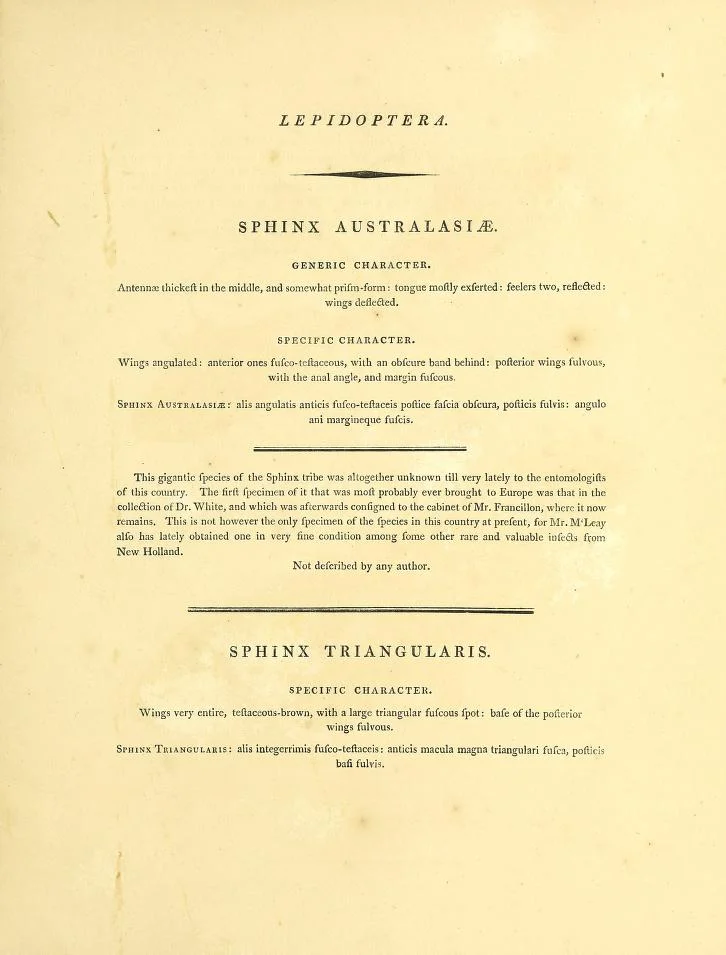 epitomeofnatura00dono_0153.jpg