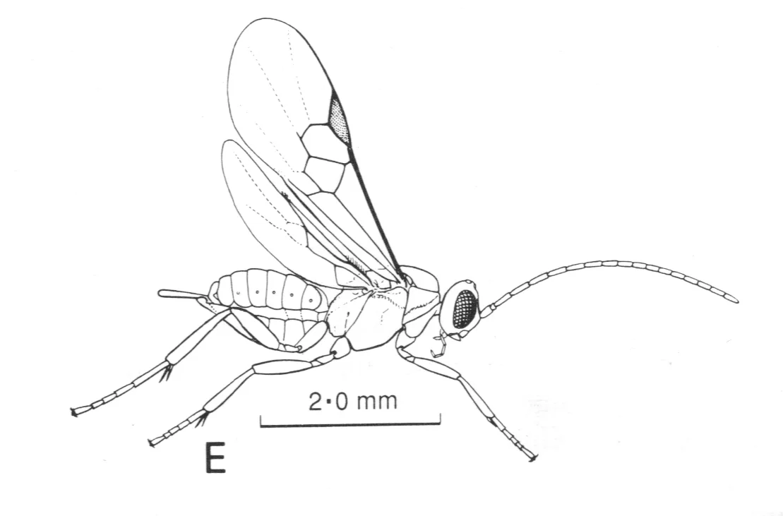 Fig. 42.20E from Ref. 1