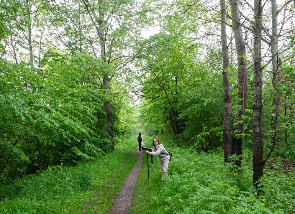 This path winds around the lake - it's full of life