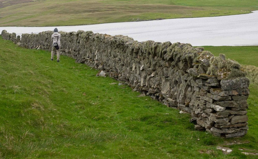 Tresta, FETLAR