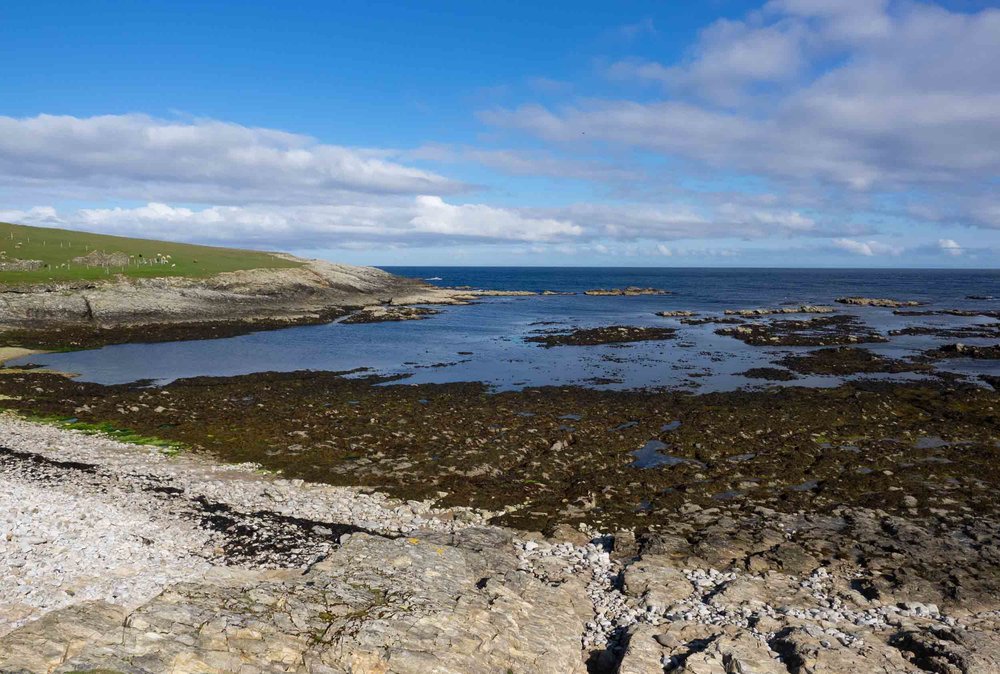 Funzie Bay, FETLAR