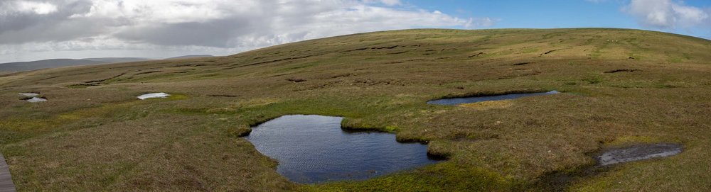 Hermaness Nature Reserve, UNST