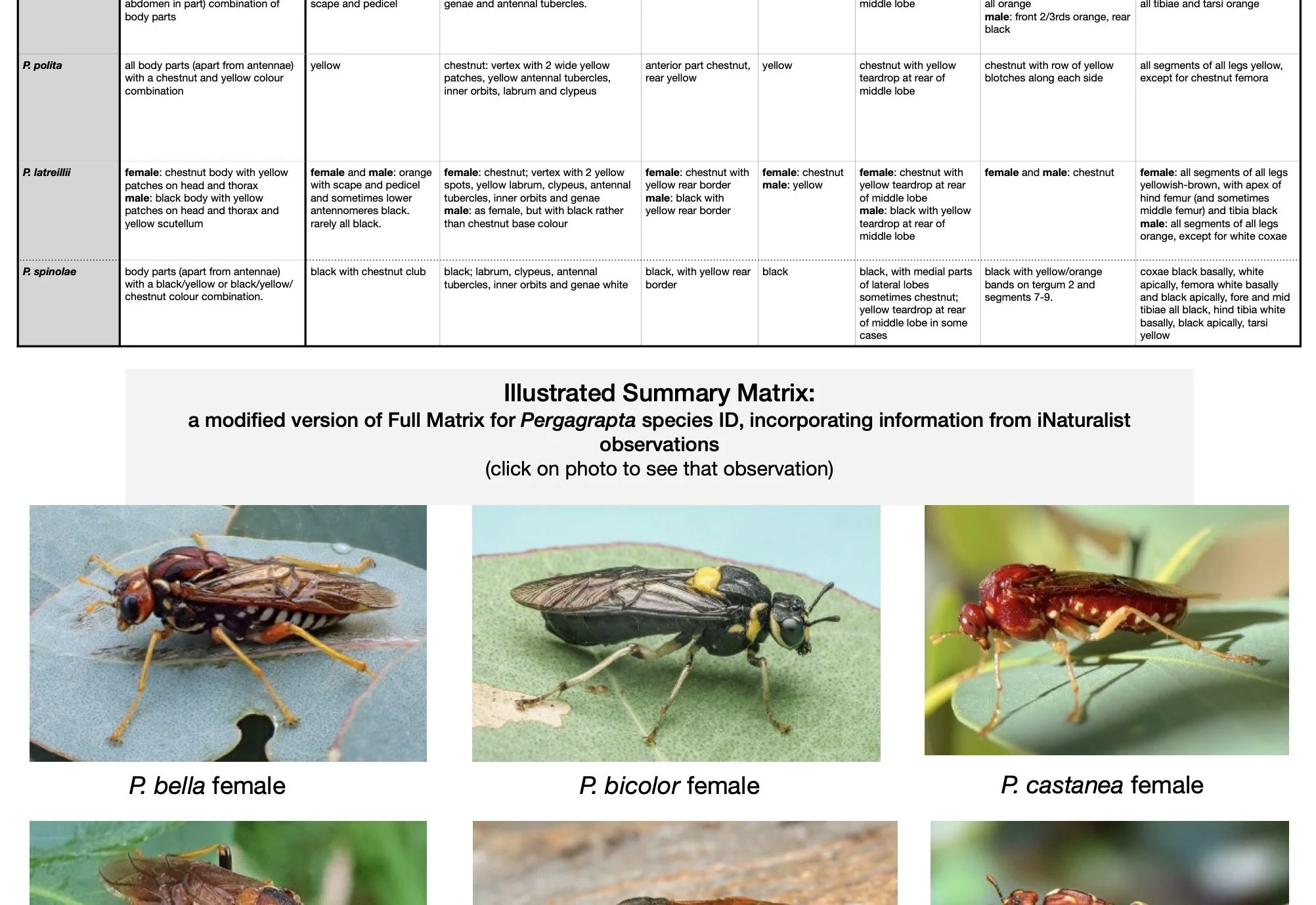 Illustrated Summary Matrix: Click on thumbnail to download the latest, complete pdf version (316 KB)