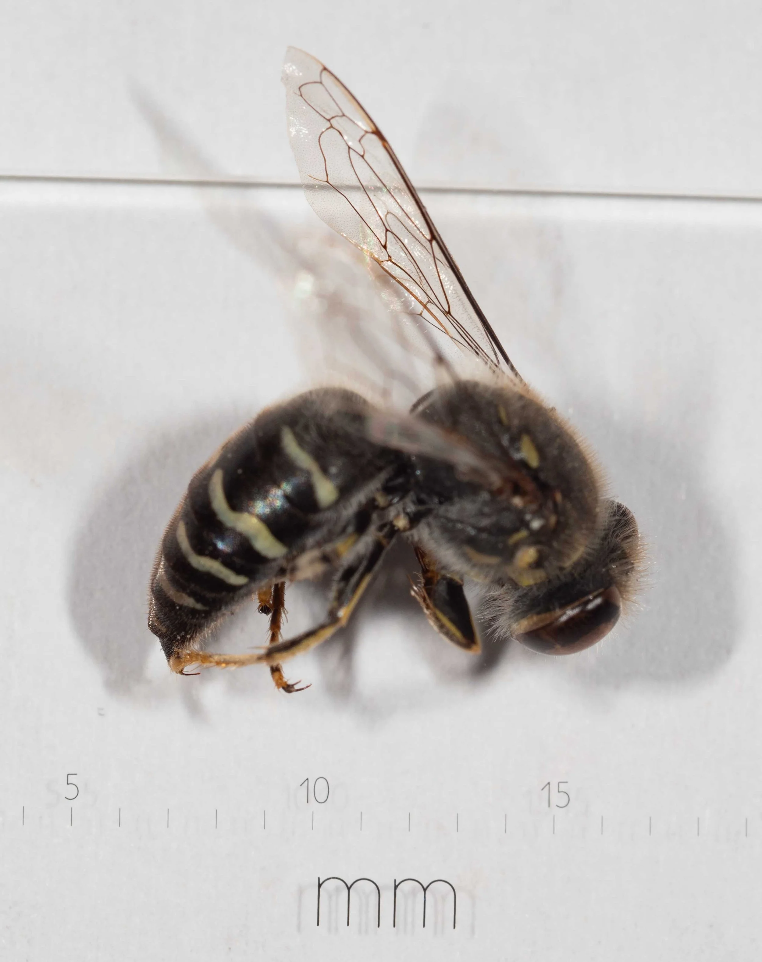 size
