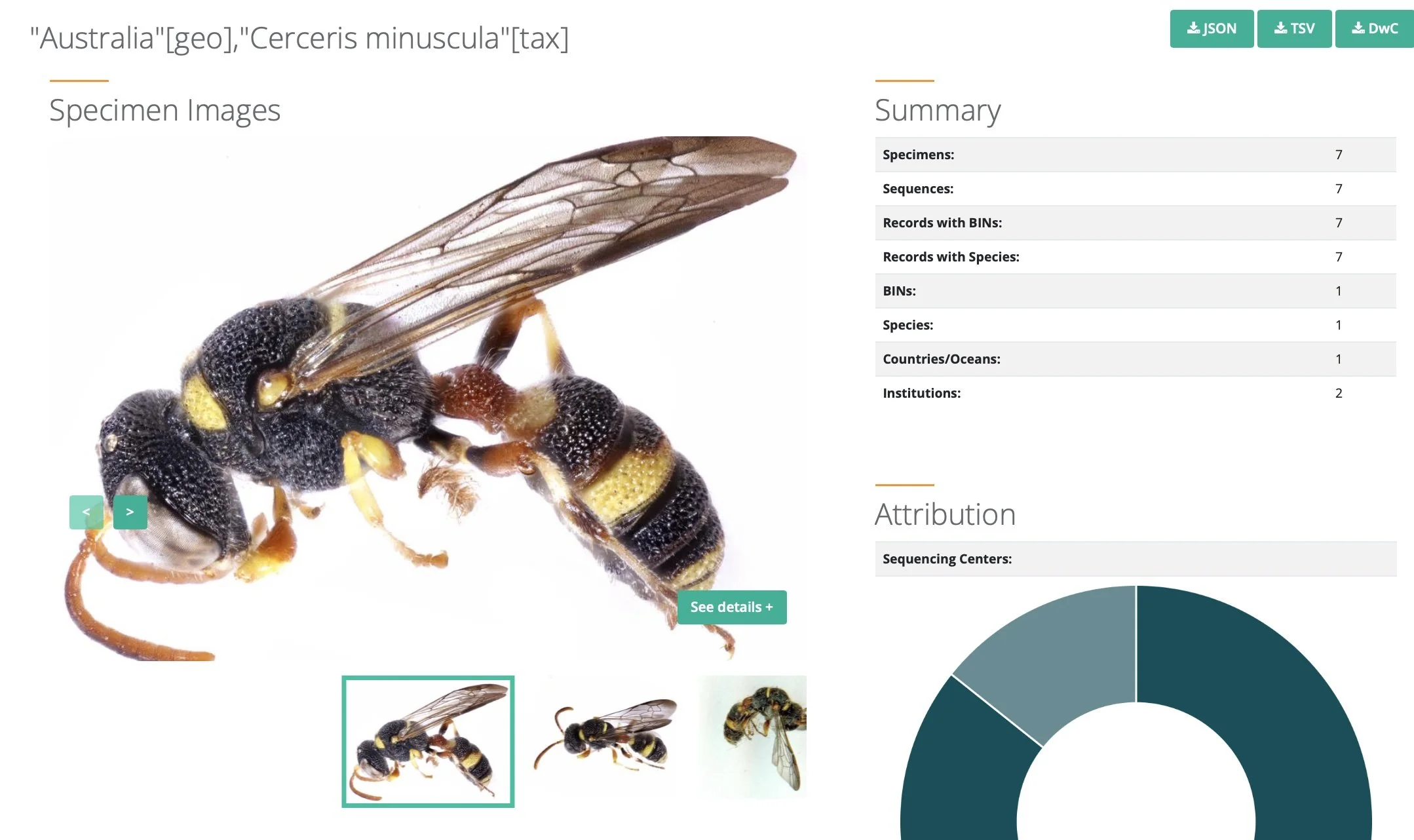  For one species of  Cerceris ,  Cerceris minuscula , there are currently 7 records. The specifics of where, when and how each specimen was collected are all recorded on BOLD, along with other relevant details. This information is freely available to
