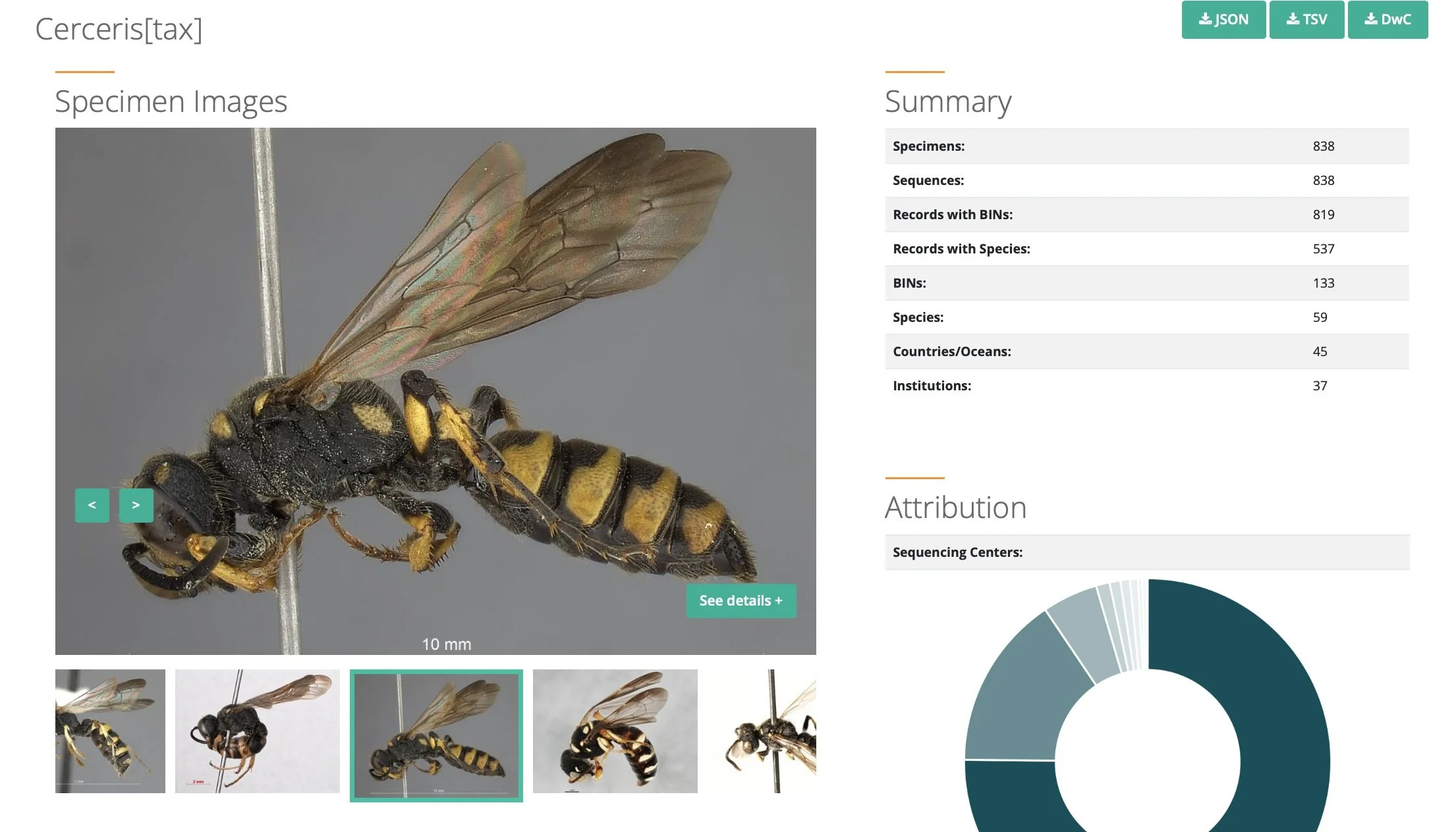  The BOLD library currently holds barcode data for more than 800 specimens of  Cerceris , spanning 45 across Europe, Africa, North America, Asia … and a few from Australia. These represent 133 species, based on their DNA barcodes.  https://portal.bol