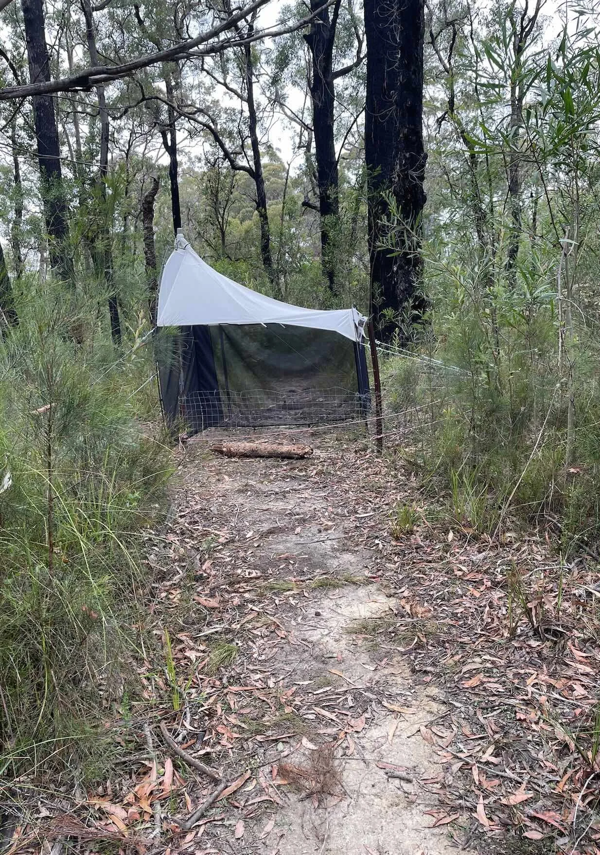  The aim is to set the trap across an insect flight path. The GMP sampling protocol includes the following explanation:    Site Selection    - Deploy the trap at a site which is subject to minimal disturbance and ideally in a habitat’s climax vegetat