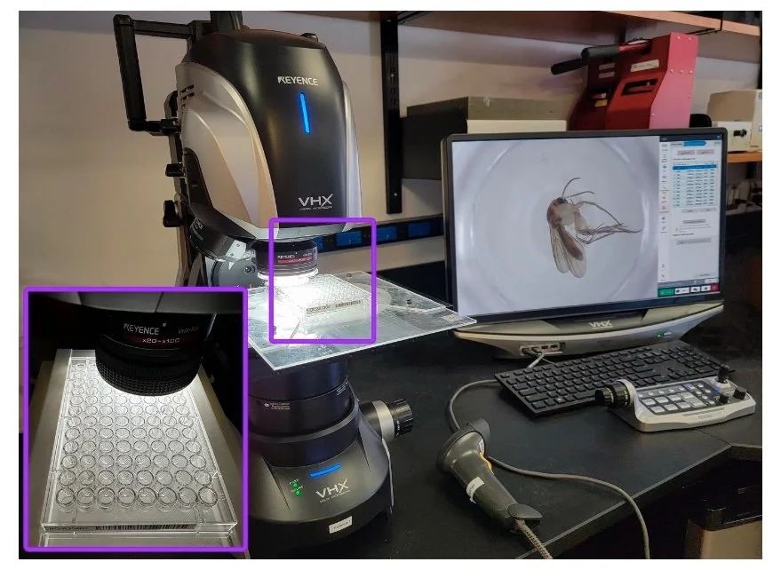  At CBG, the samples are analysed in detail. This includes a system for imaging individual specimens before sequencing. [extract Steinke  et al.  2024, Figure 1, p. 122] 