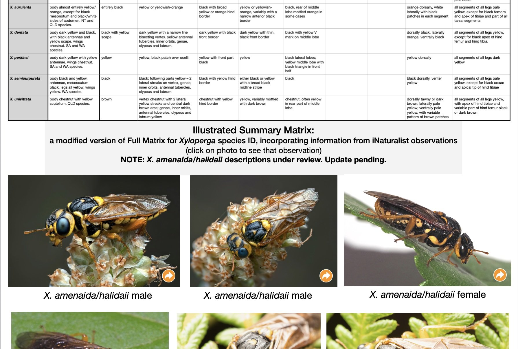 Illustrated Summary Matrix: Click on the thumbnail to download the latest, complete pdf version (10.5 MB)
