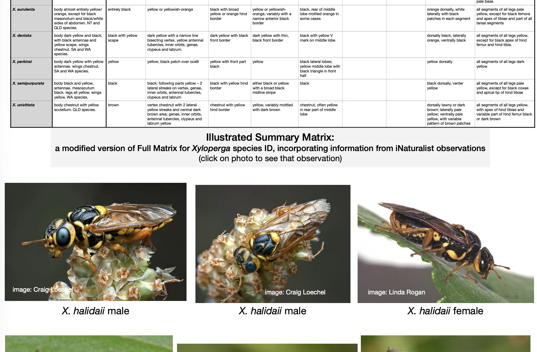 Illustrated Summary Matrix: Click on thumbnail to download the latest, complete pdf version (10.1 MB)