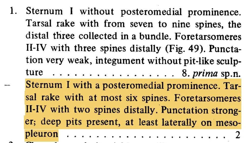  Extract: Lomholdt 1983, p. 88 