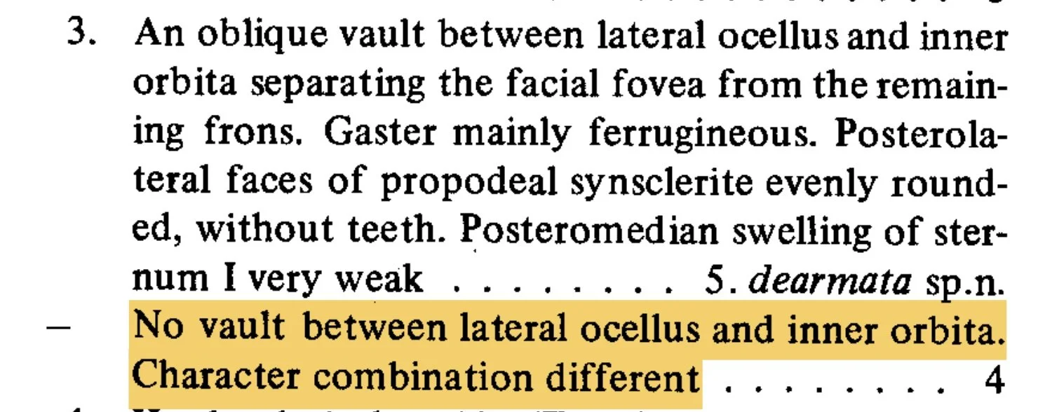  Extract: Lomholdt 1983, p. 88 