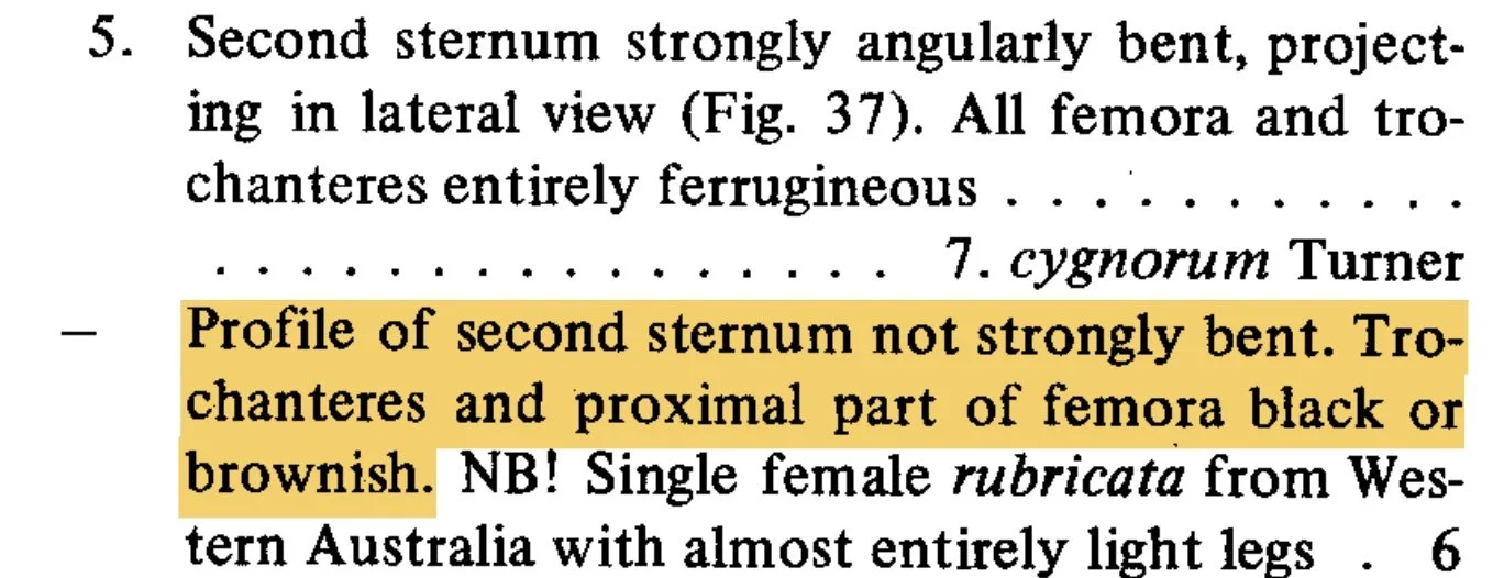  Extract: Lomholdt 1983, p. 88 