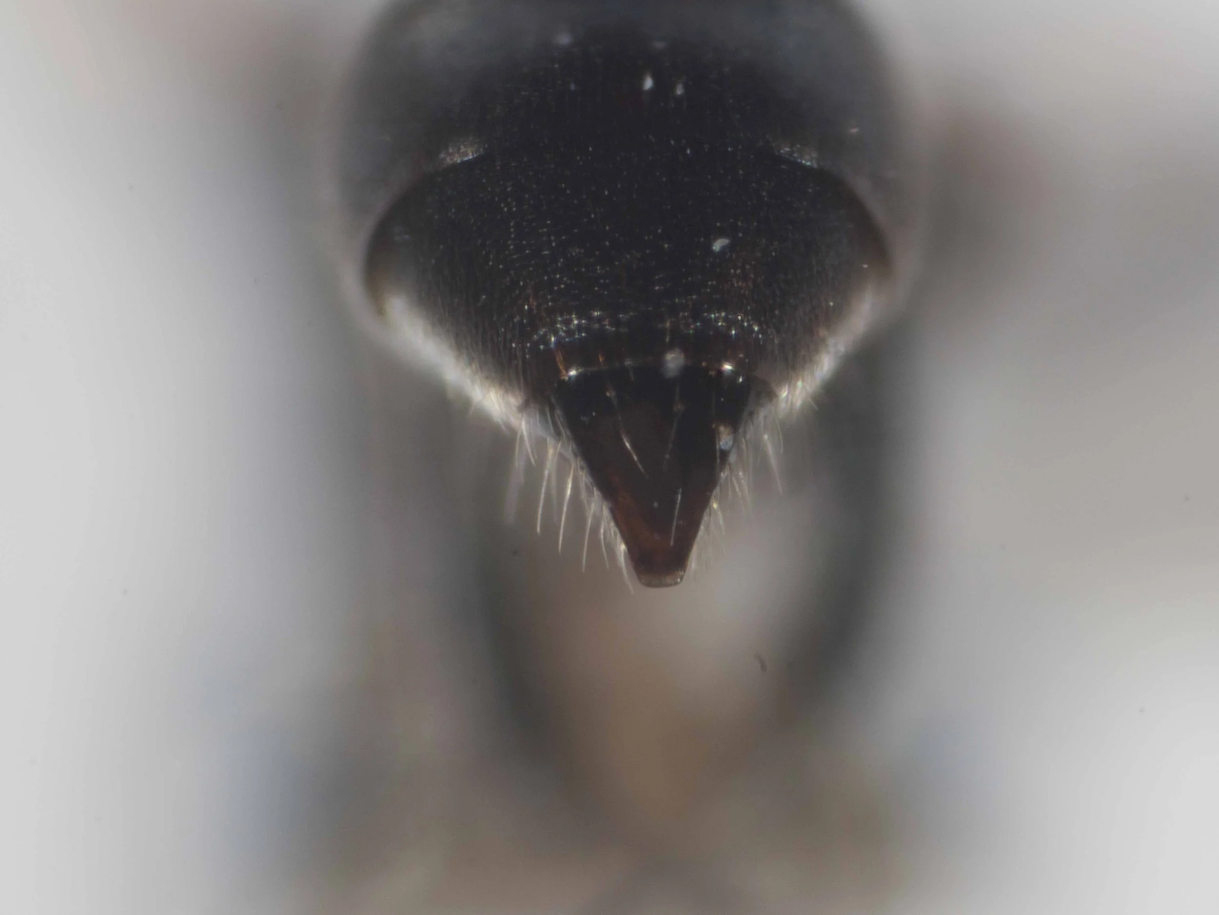 P9150070-Edit.jpg