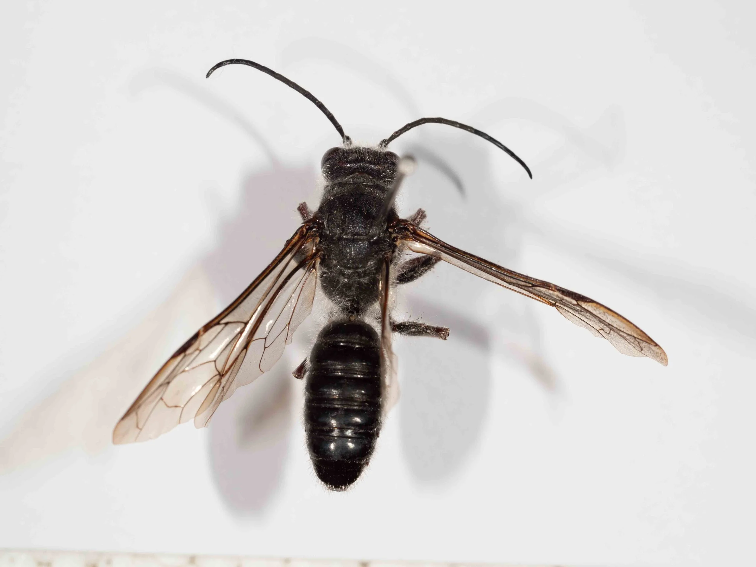 PA270001-2.jpg