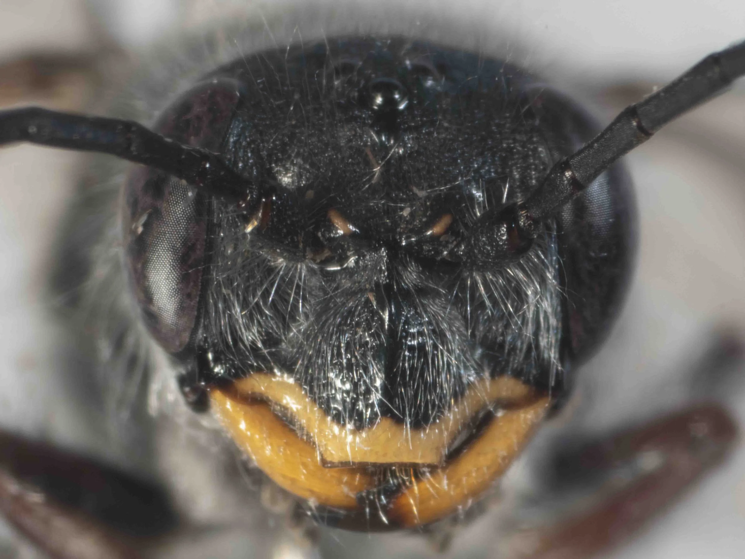 PA270001-3-Edit.jpg