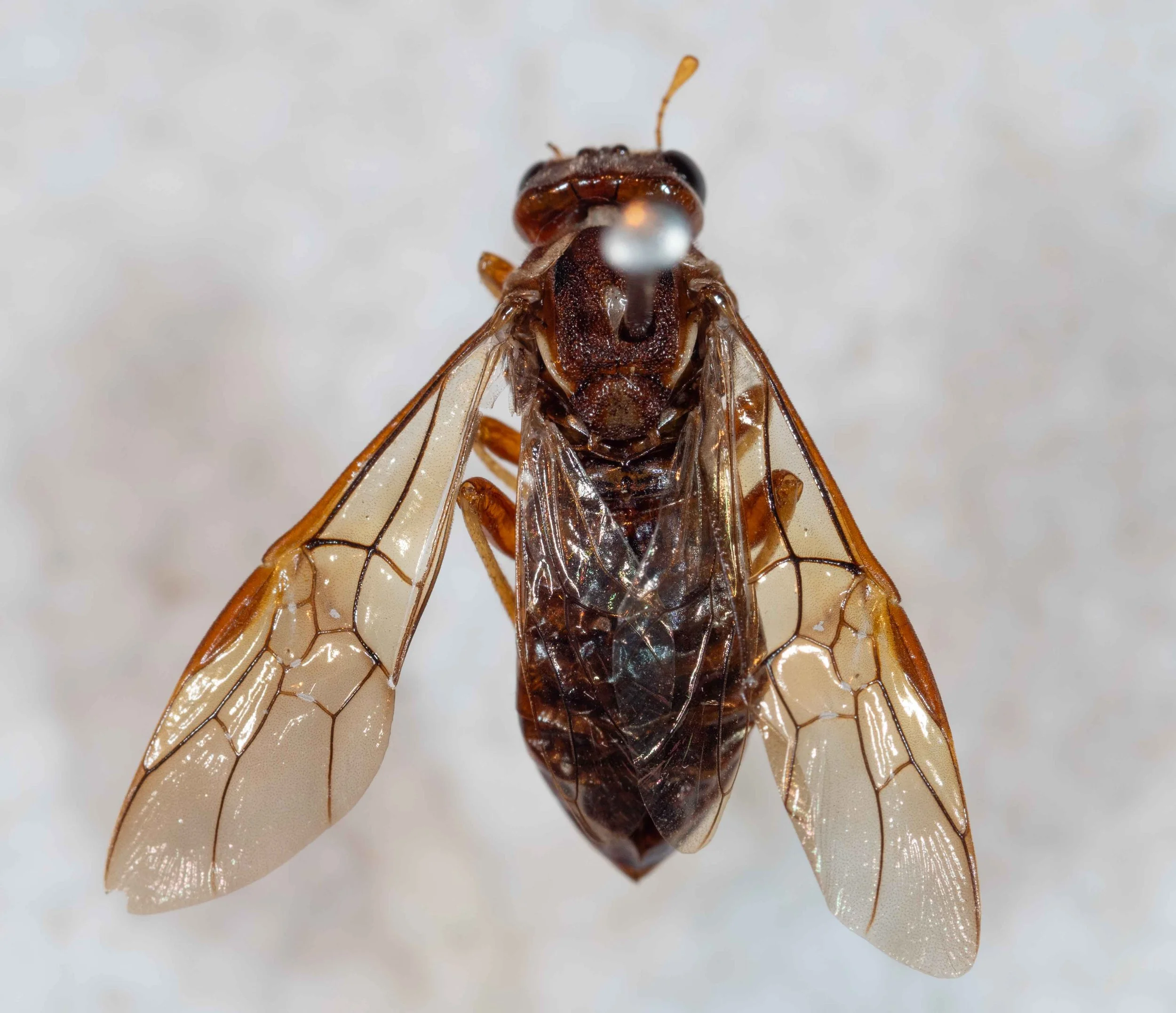 P9250003-4.jpg