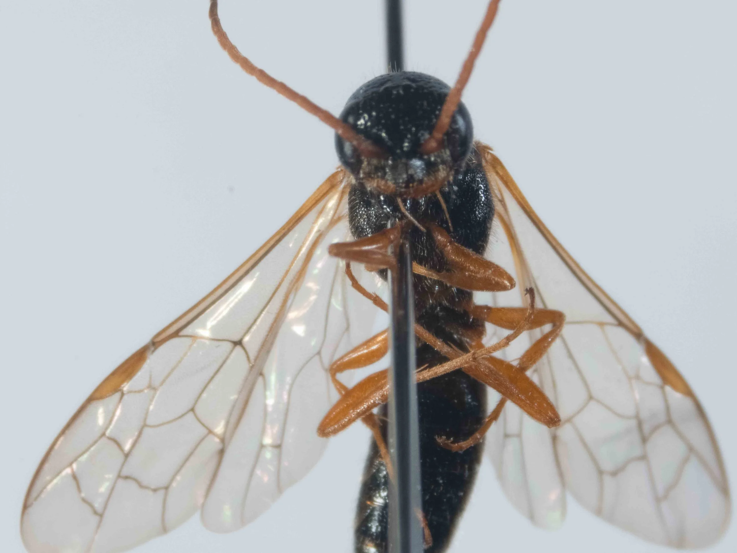 PA180001-3-Edit.jpg