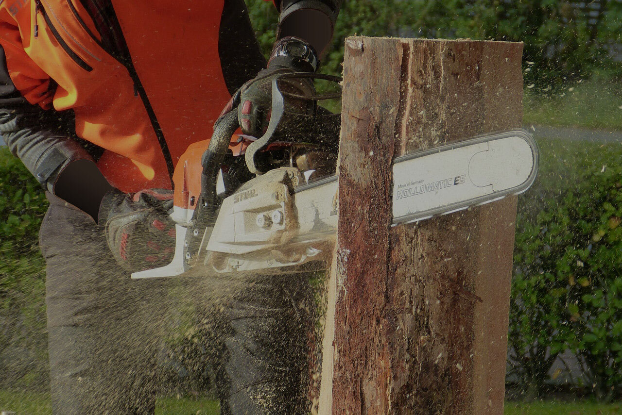 Tree Surgery.jpg