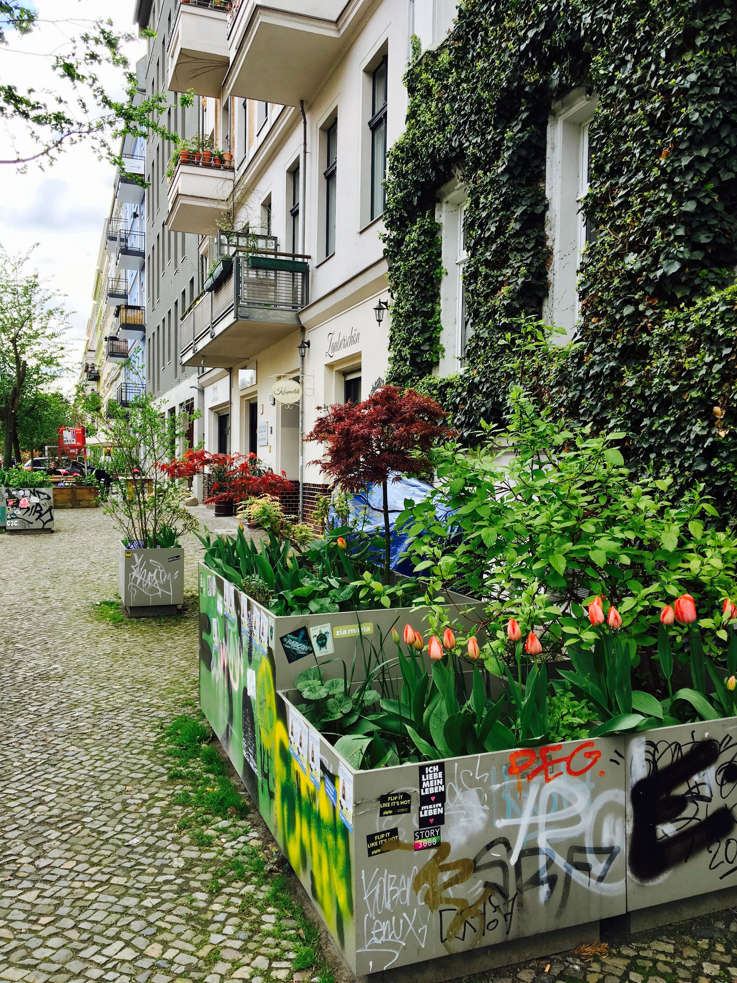 The Trendy Suburb of Prenzlauer Berg