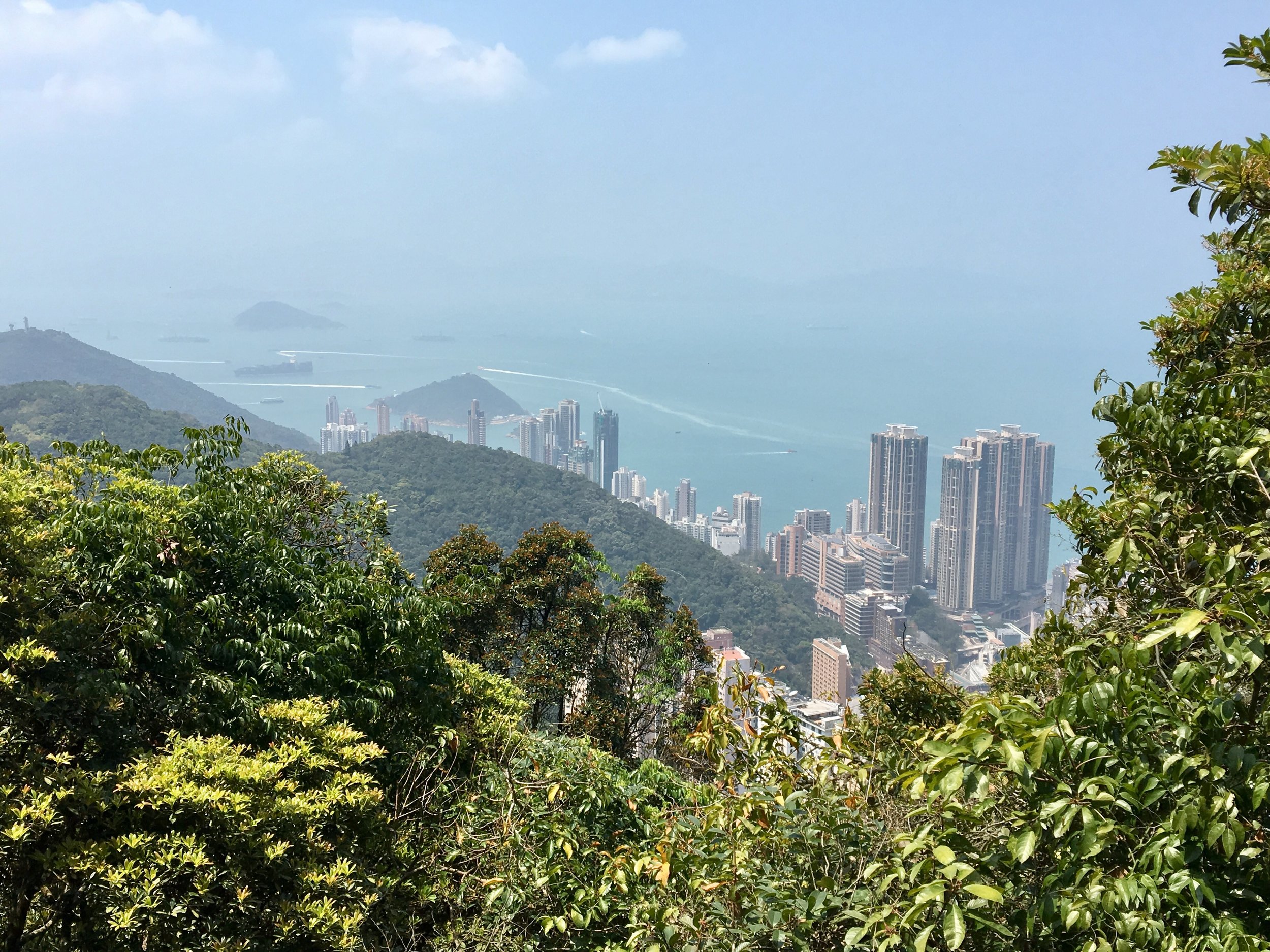 The View from Victoria Peak