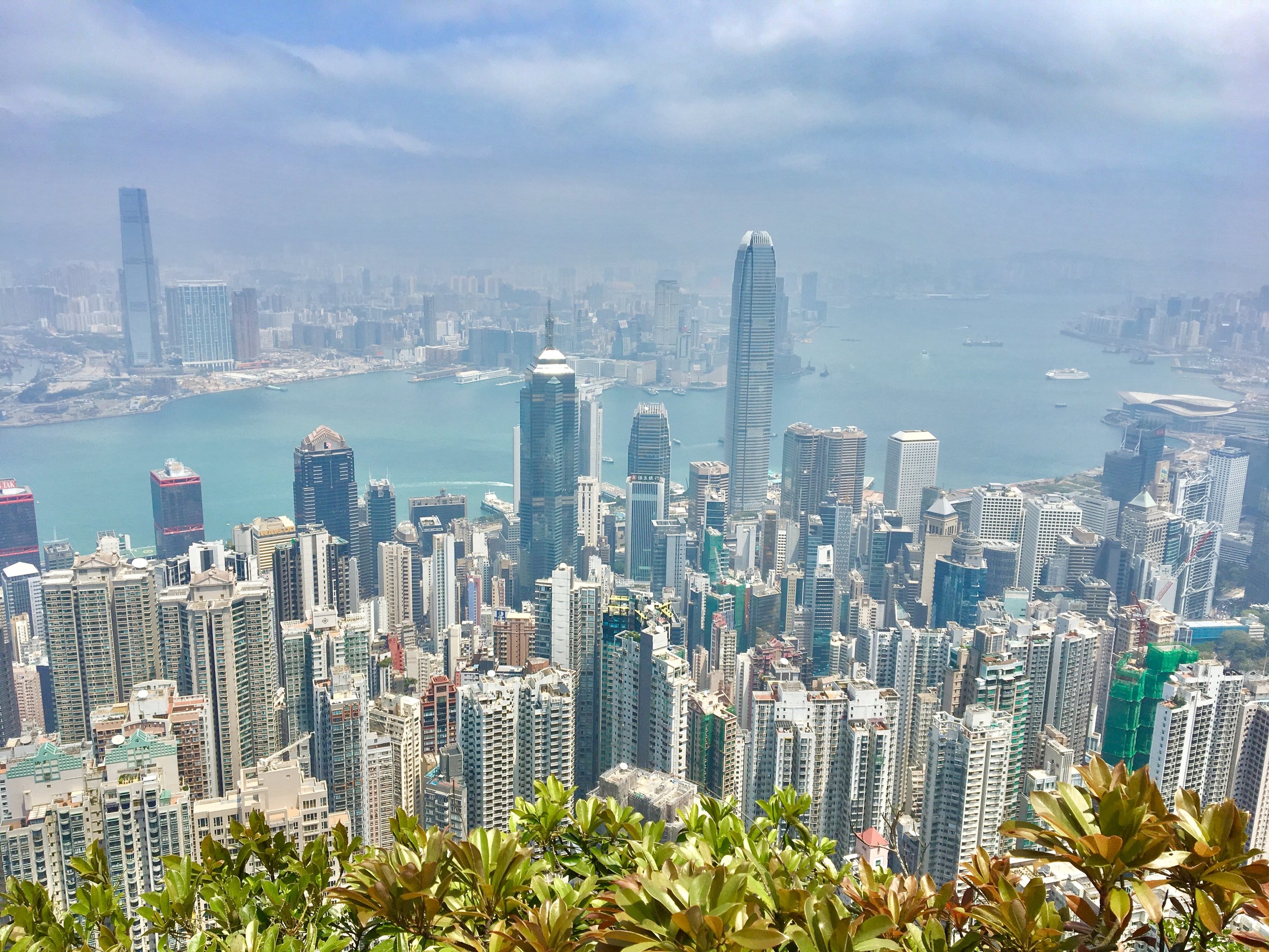 City Vista From The Peak
