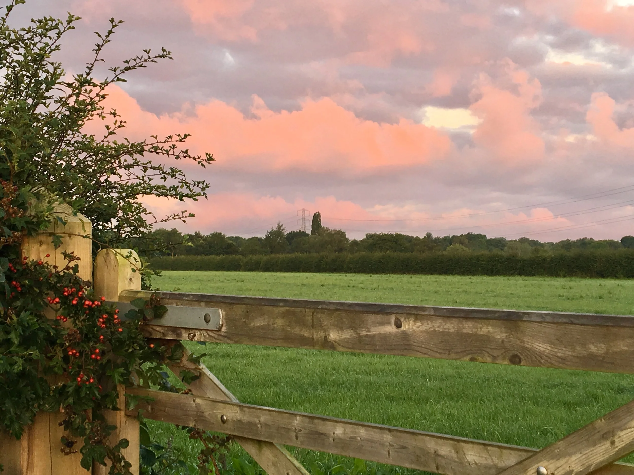 Day breaks in the countryside after a night of dancing