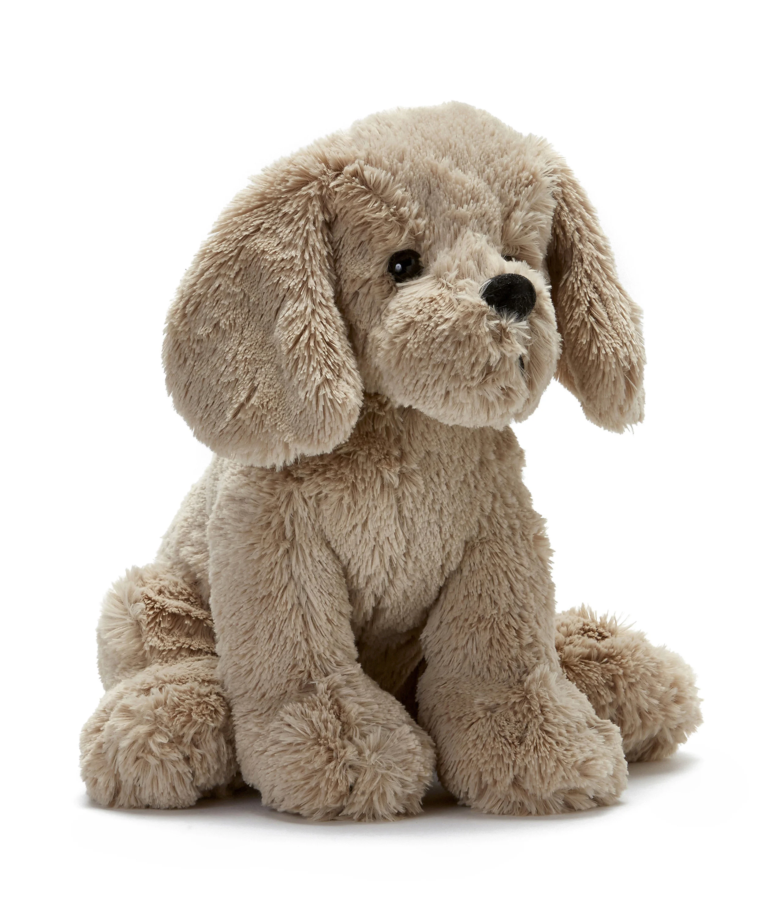 Type 1 Foundation Lou the Dog Mascot