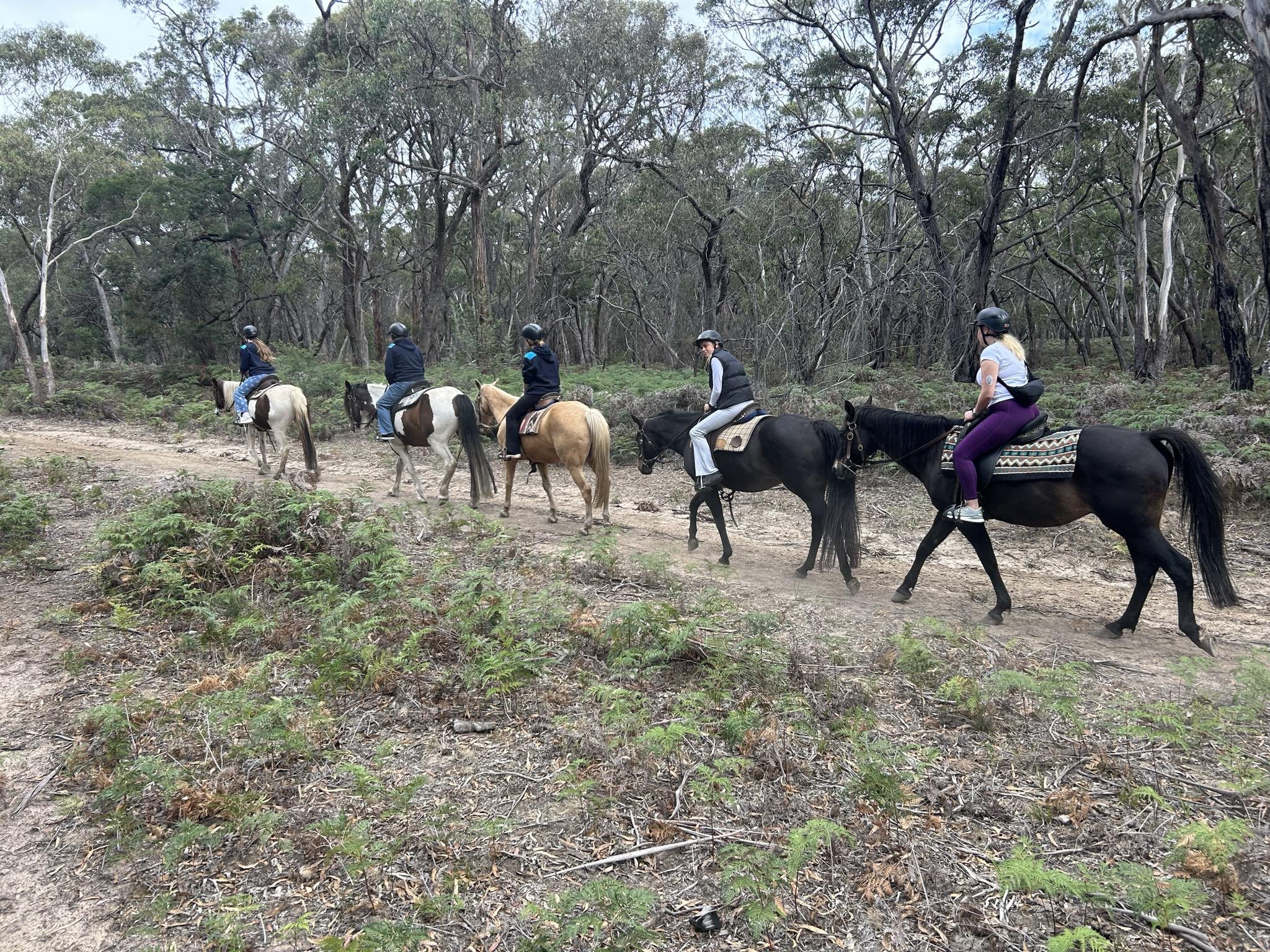 horseriding3.jpeg