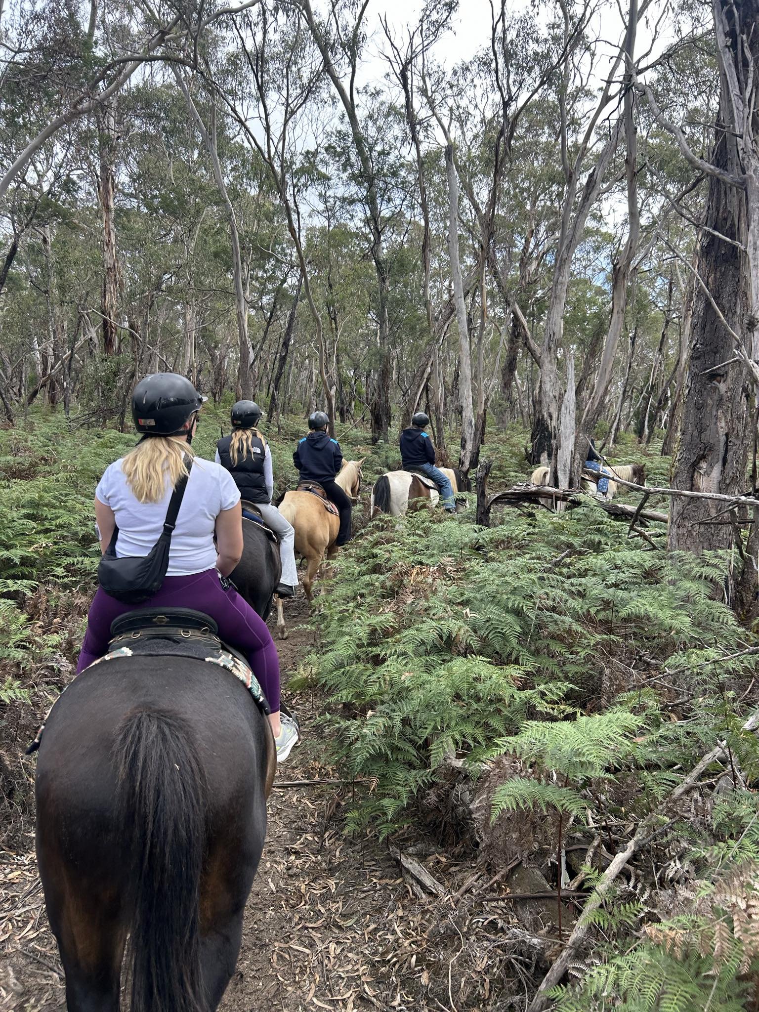 horseriding6.jpeg