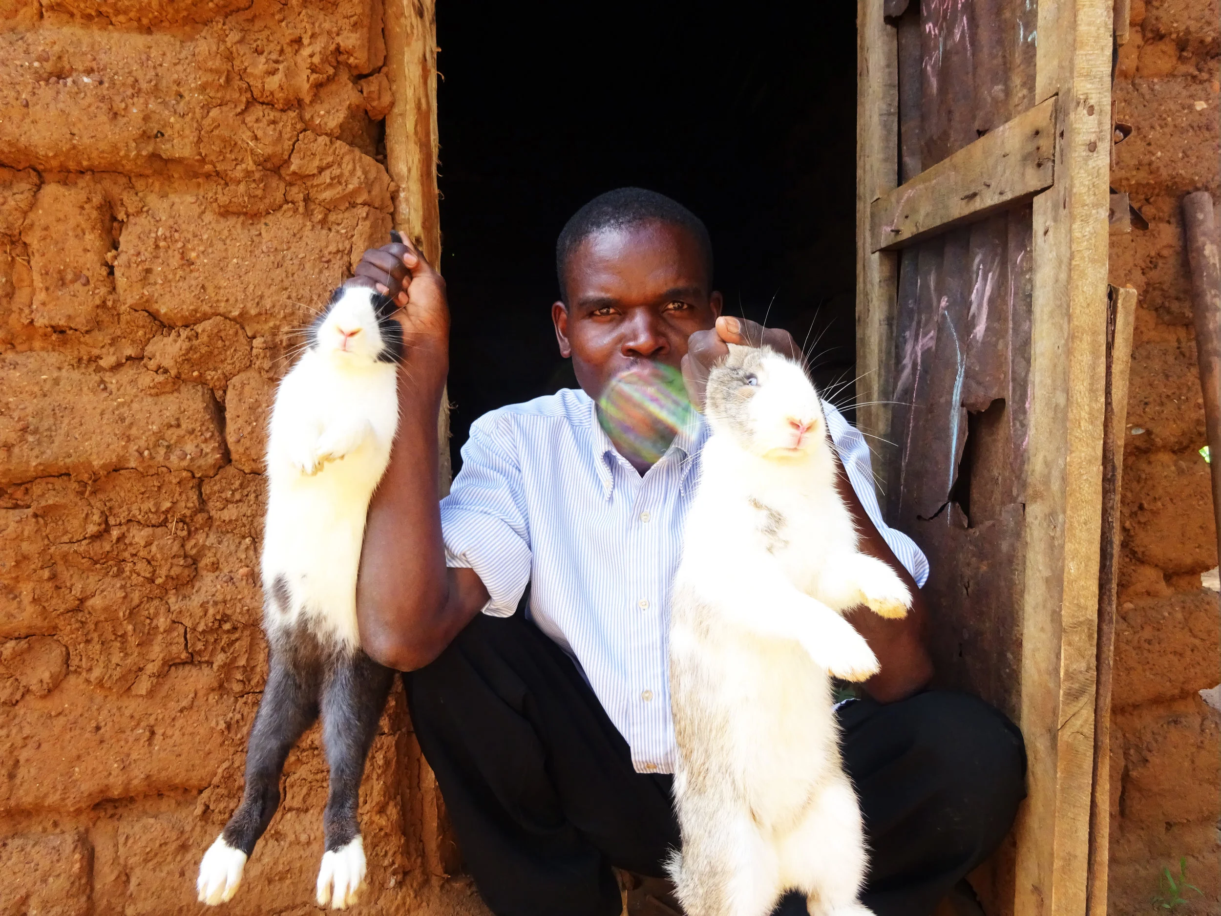 Sylvan (Nyamata, Eastern Province)