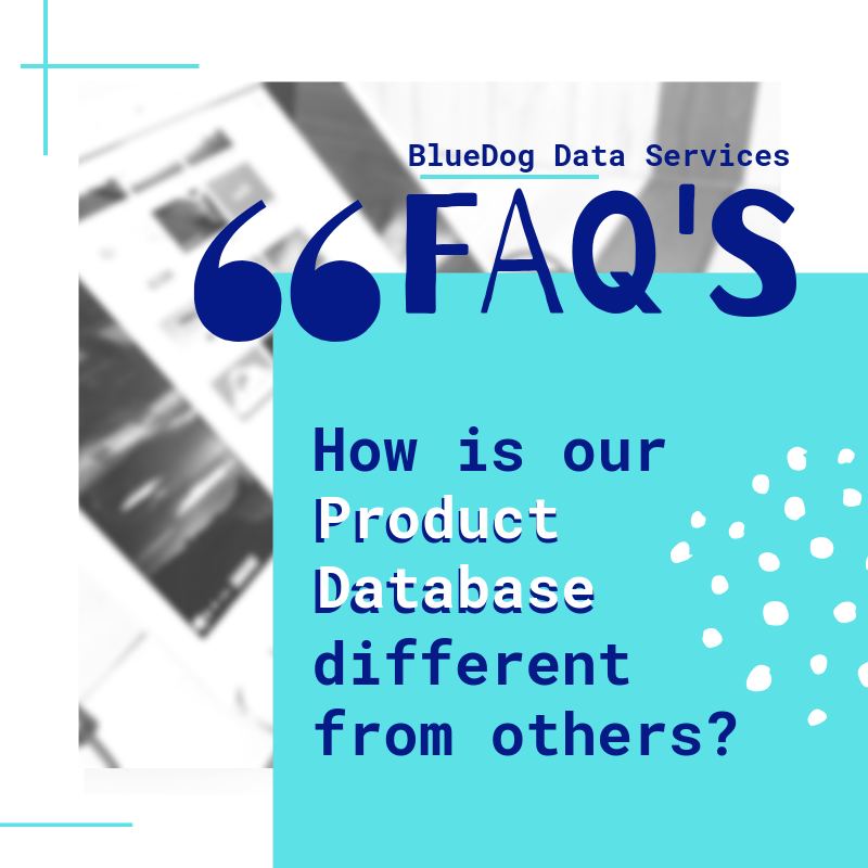 BlueDog Group Blog.png